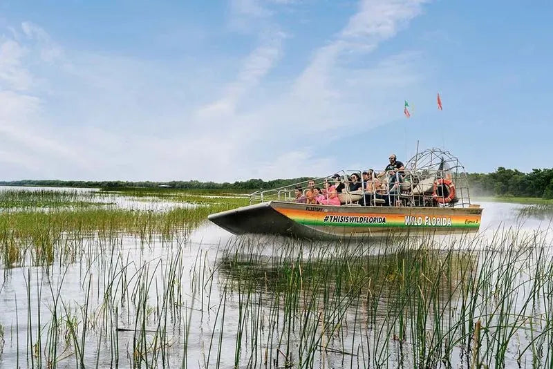 Wild Florida Air Boat rides, this is a great family adventure that will not break the bank.